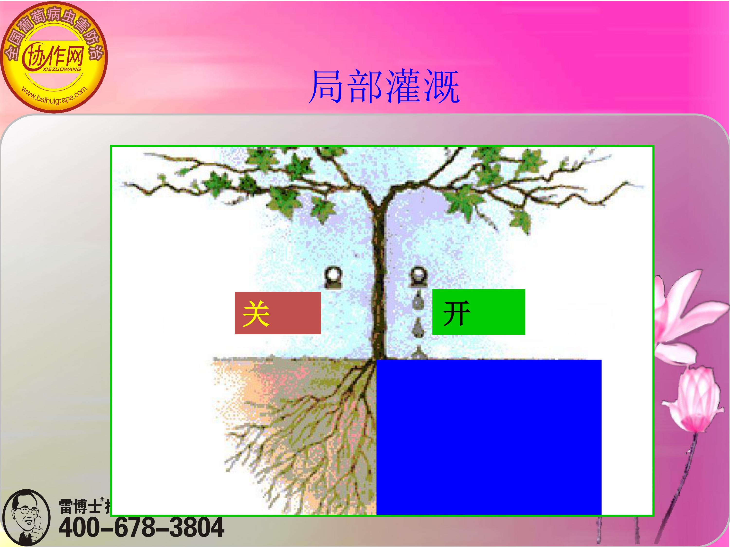 image-0144