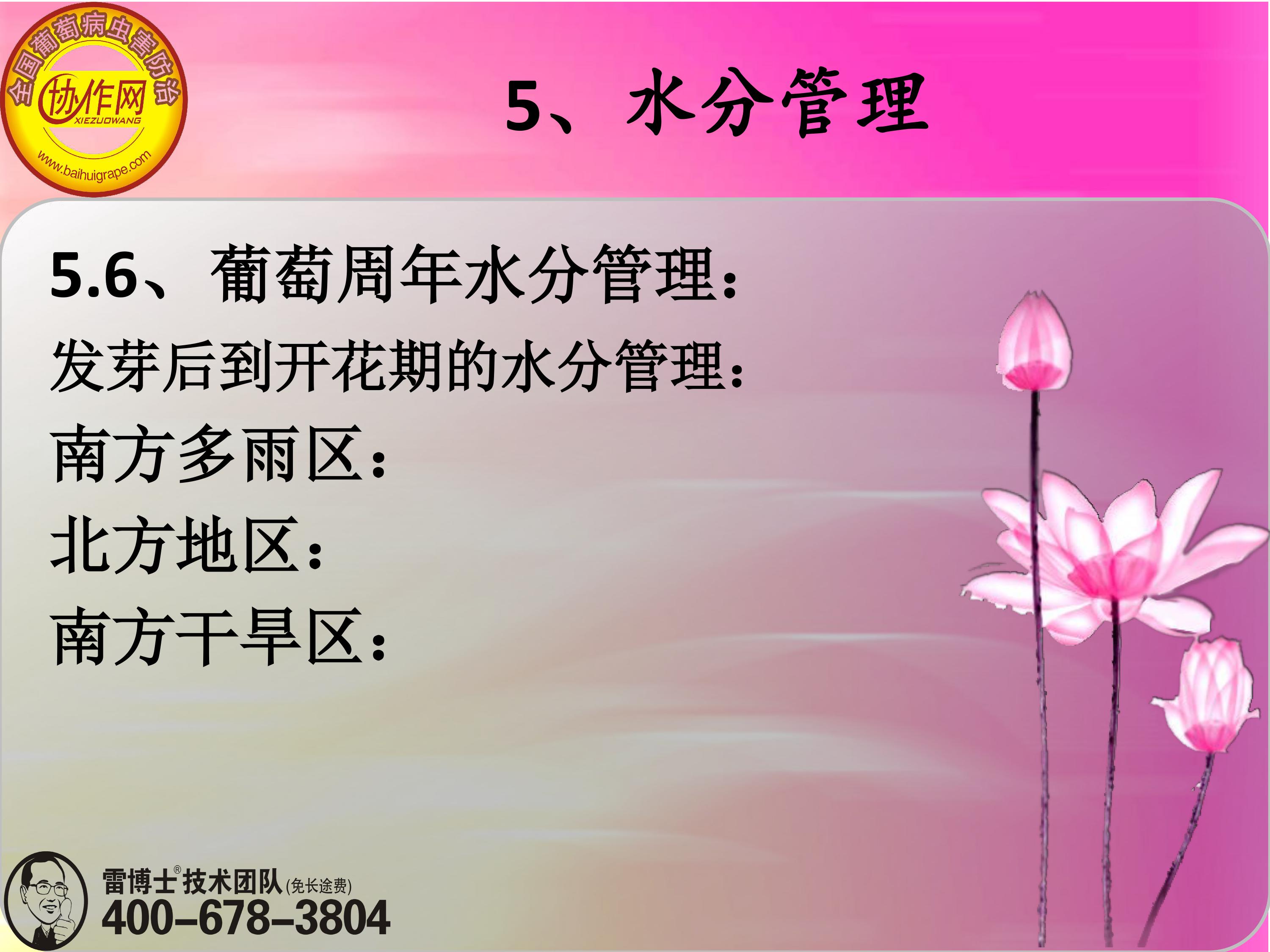 image-0146