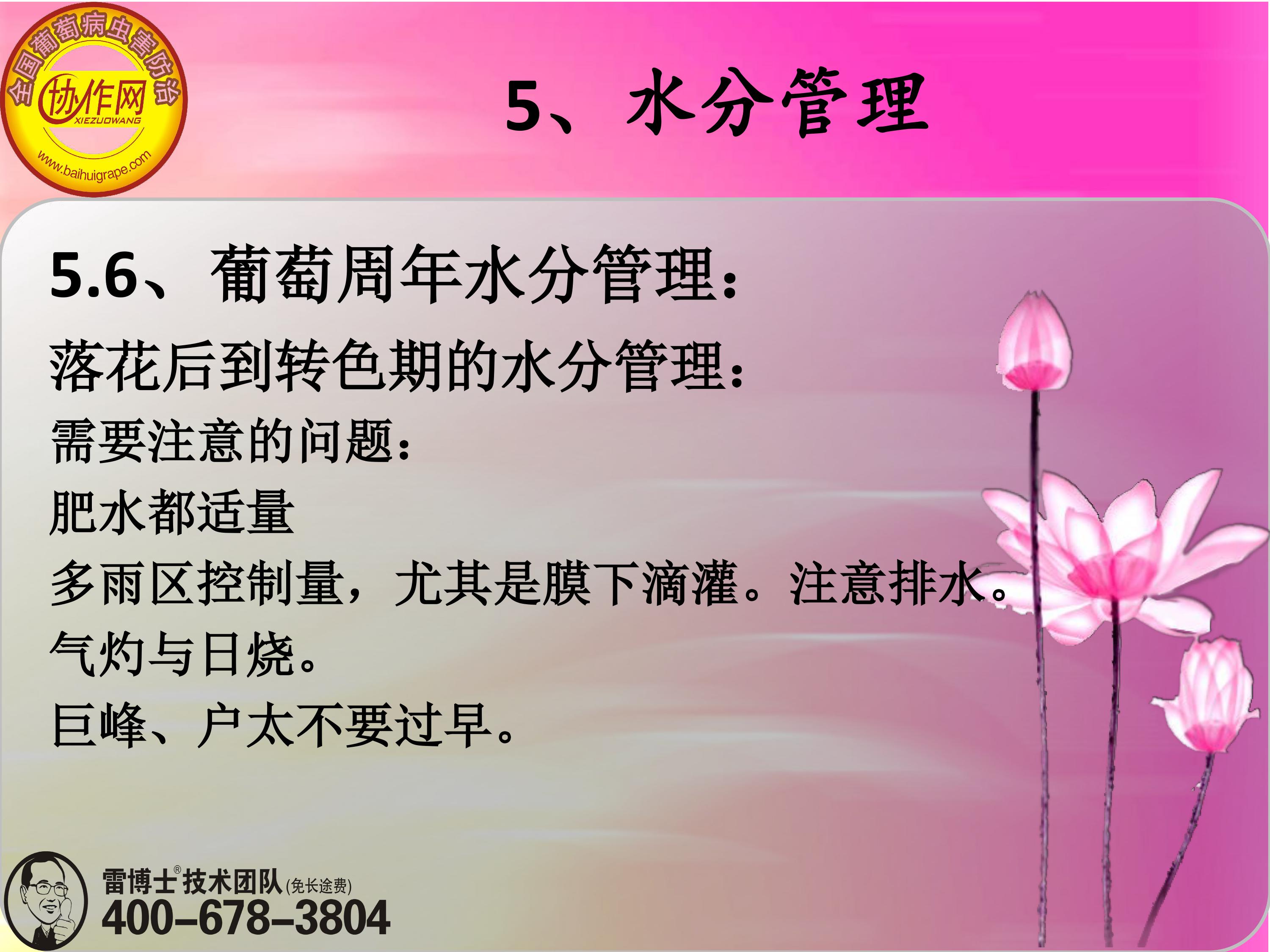 image-0148