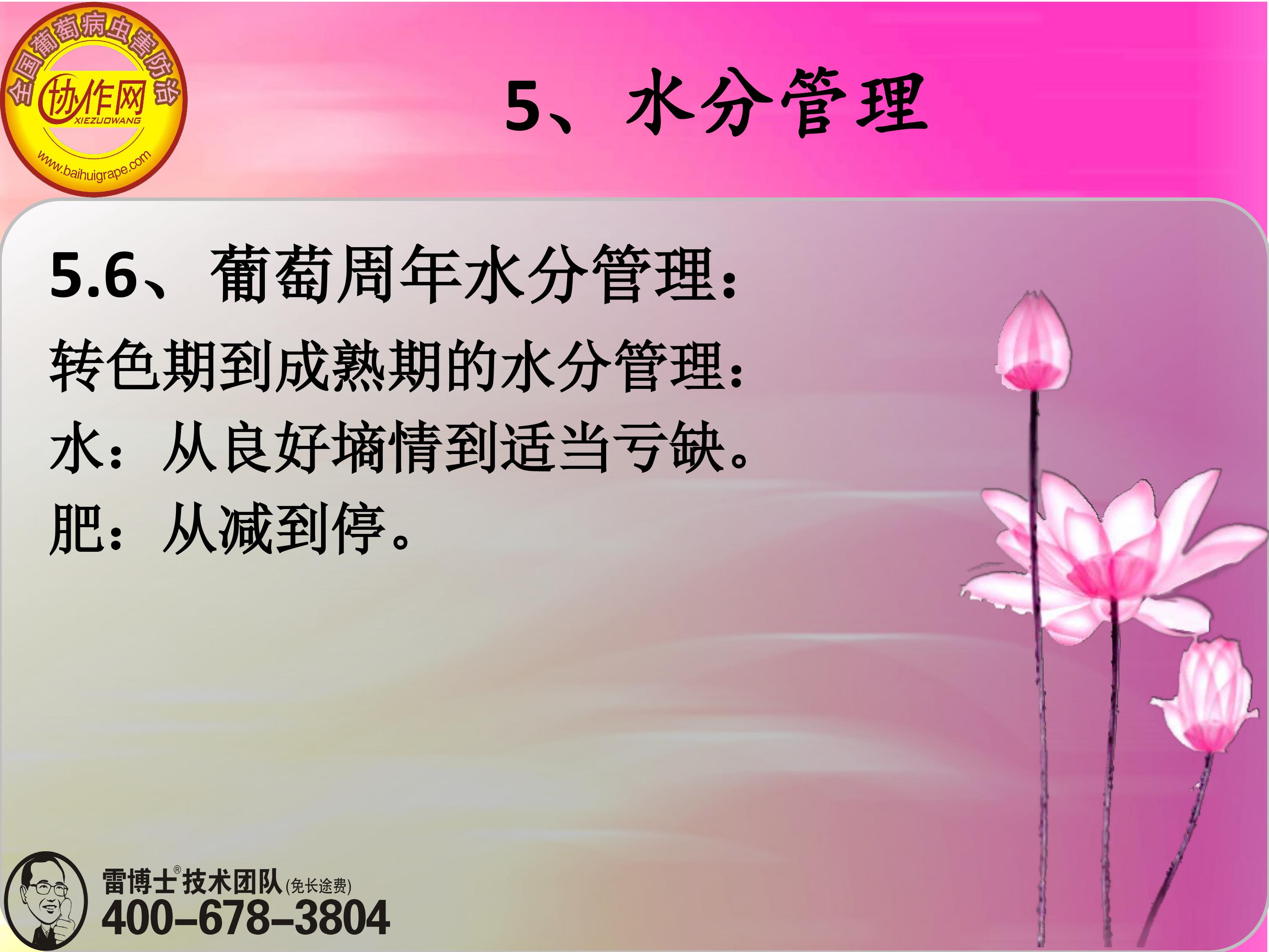 image-0149