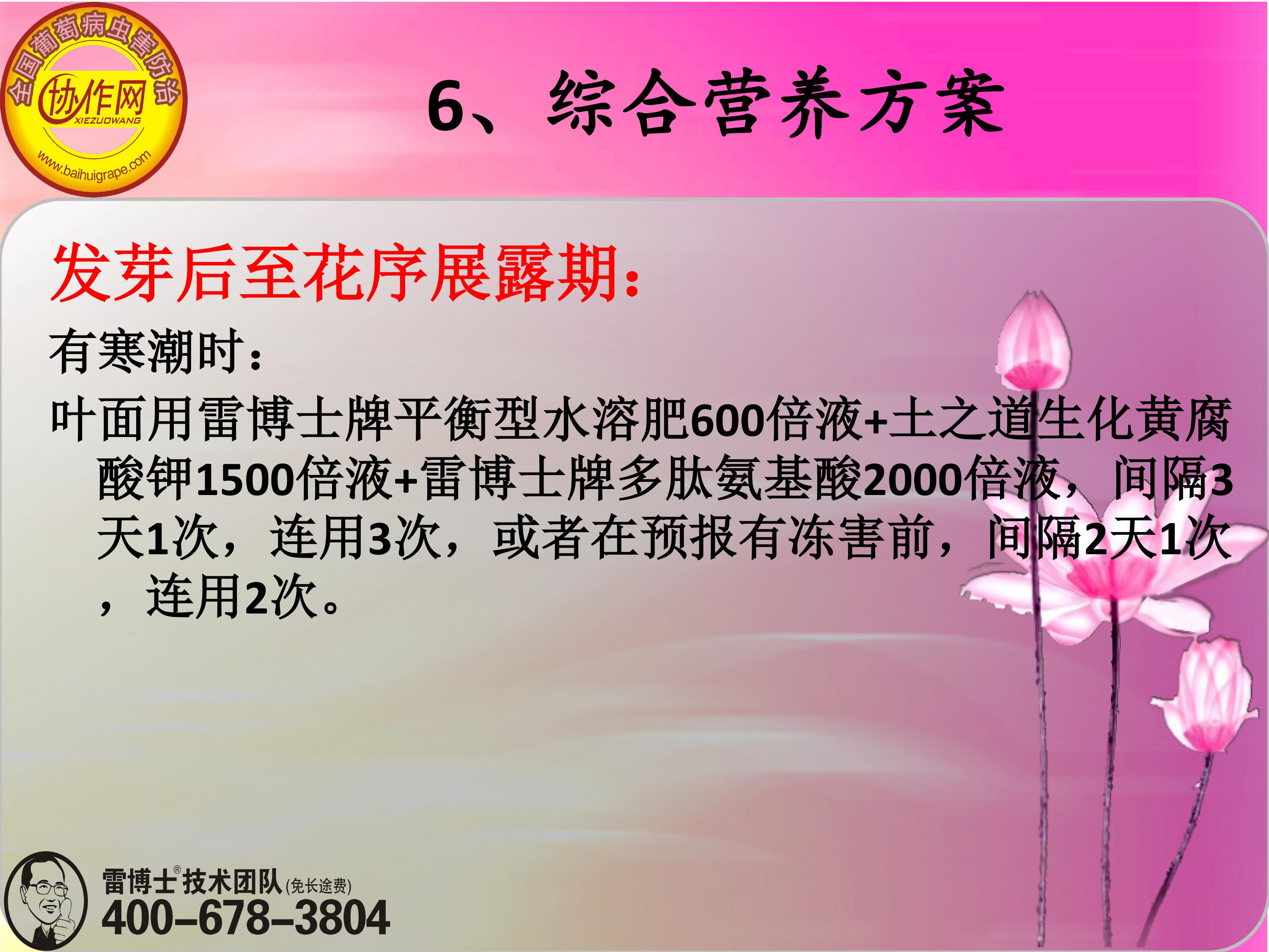 image-0154