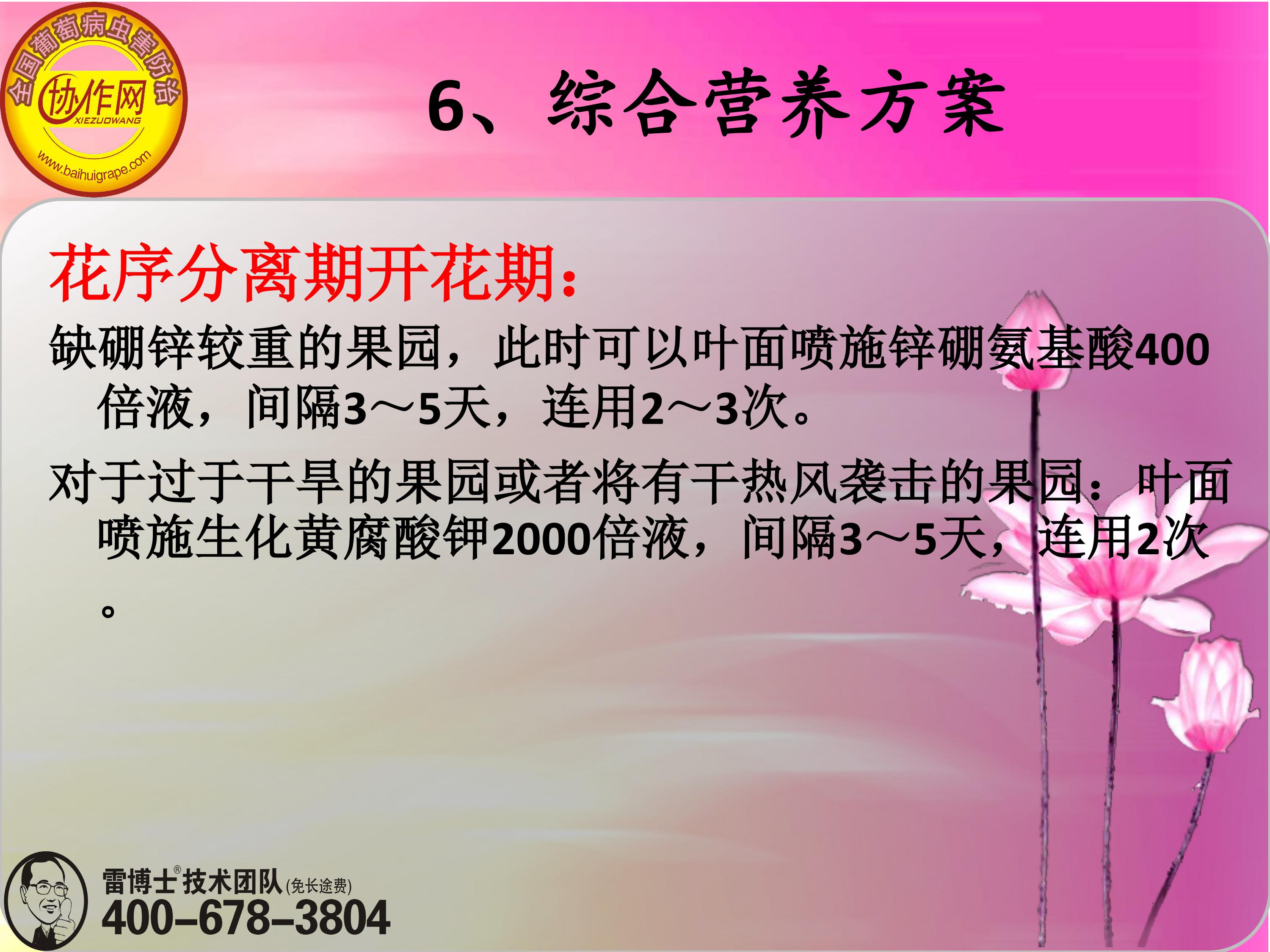 image-0160