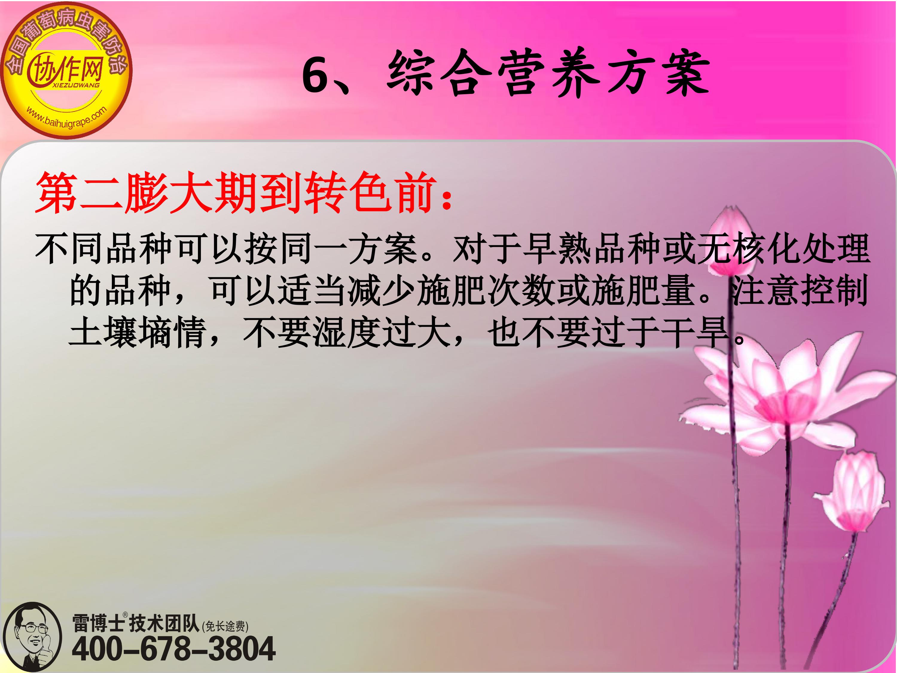 image-0170