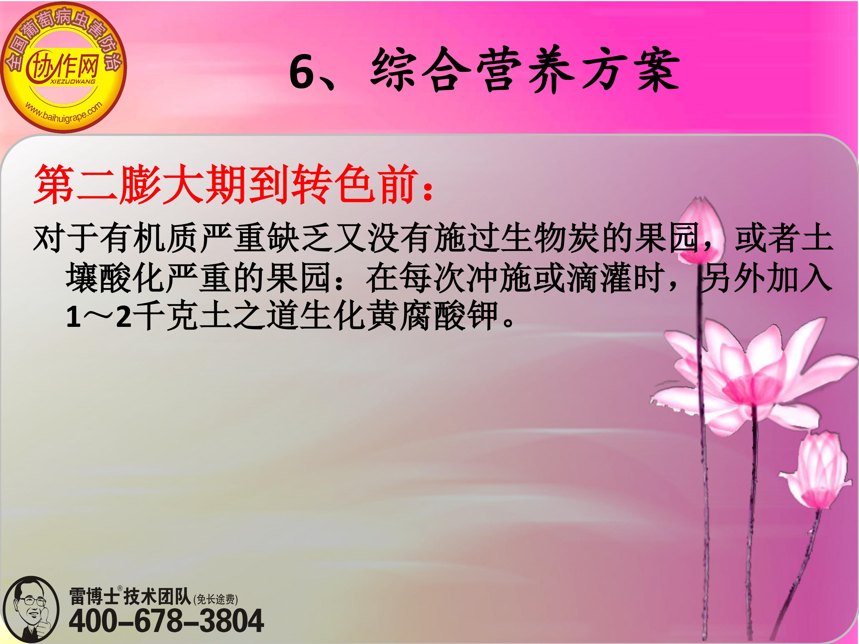 image-0171