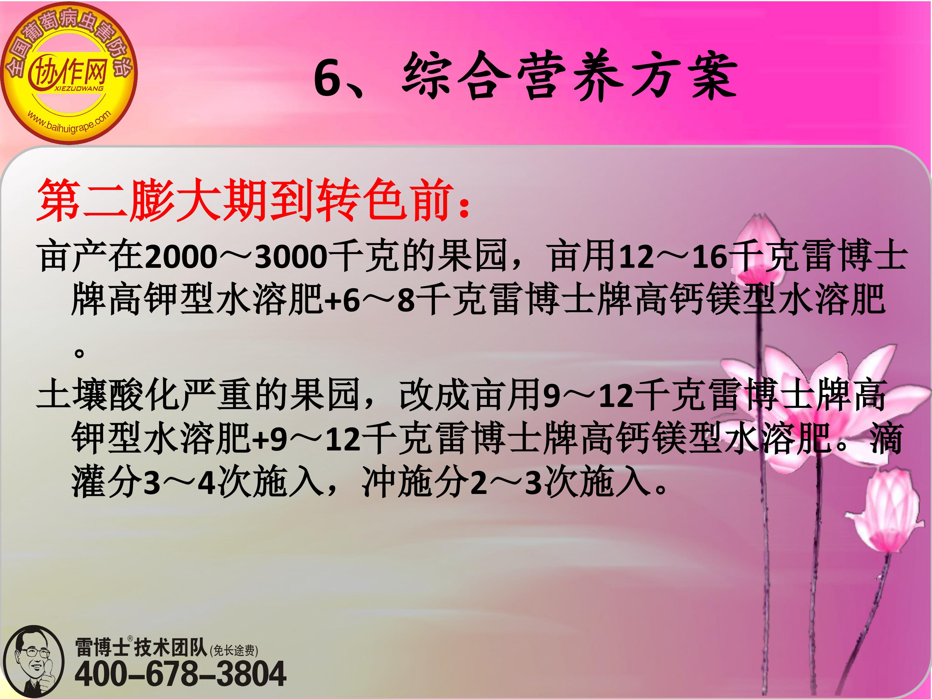 image-0172