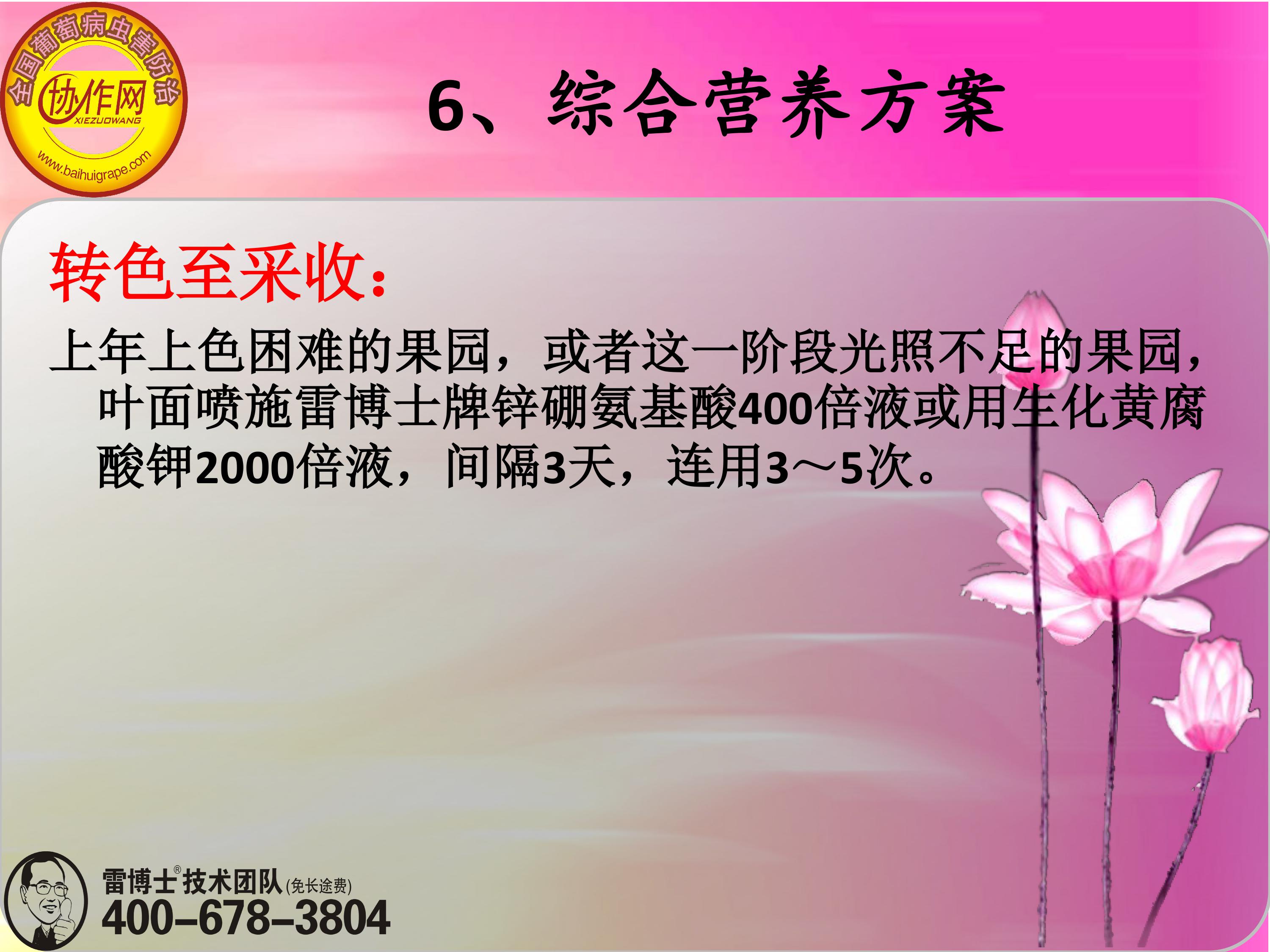 image-0176