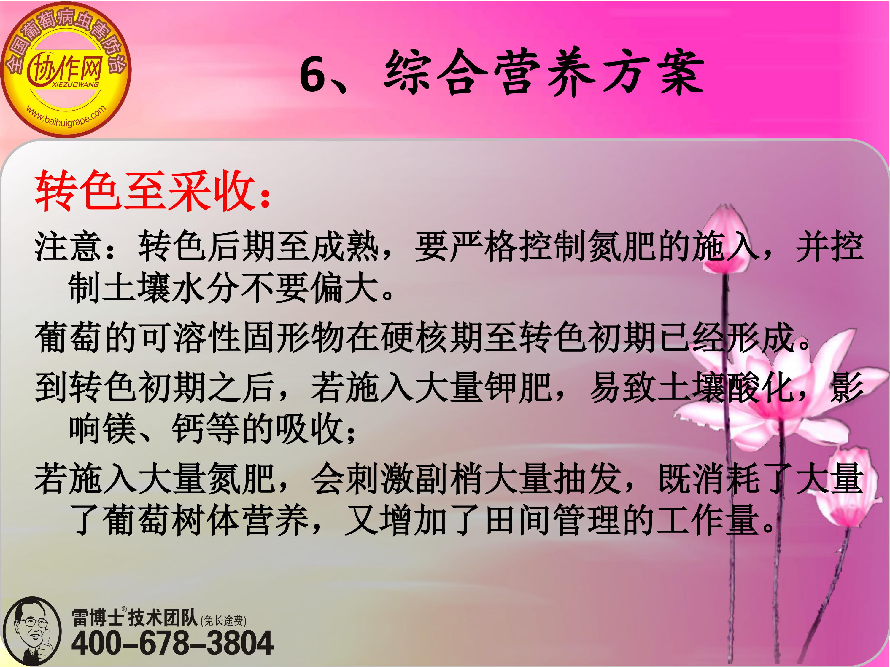 image-0178