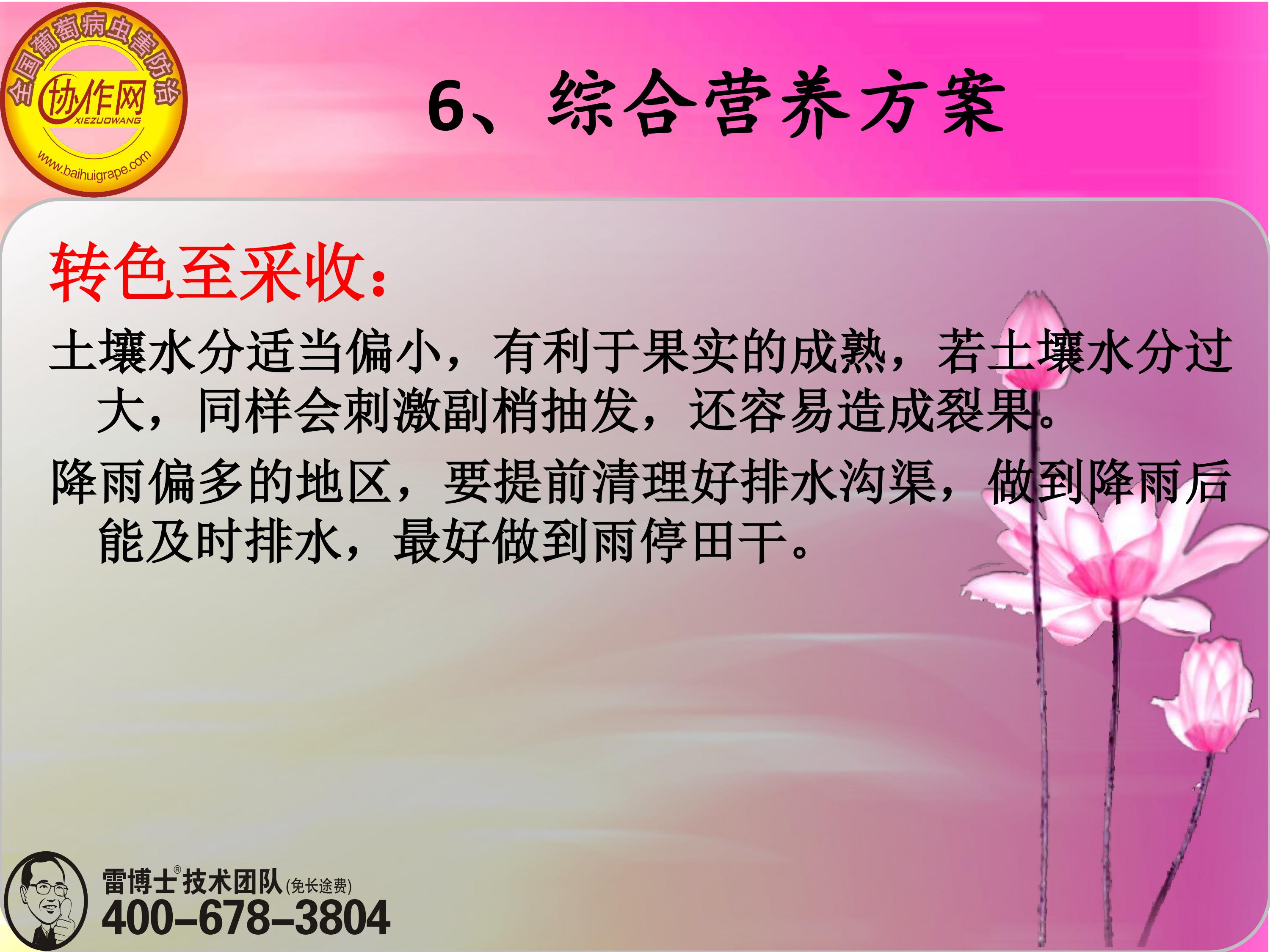 image-0179