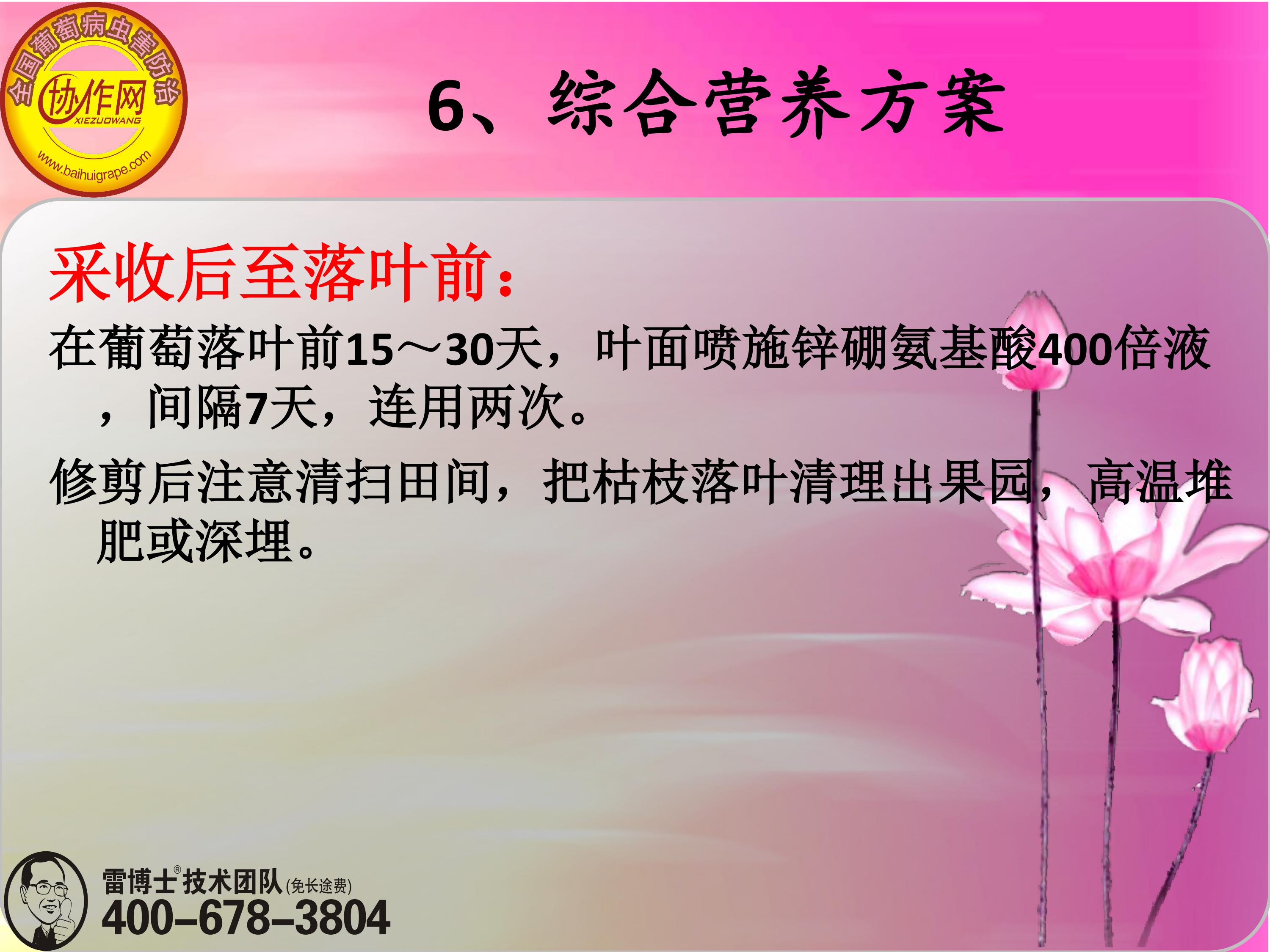 image-0182