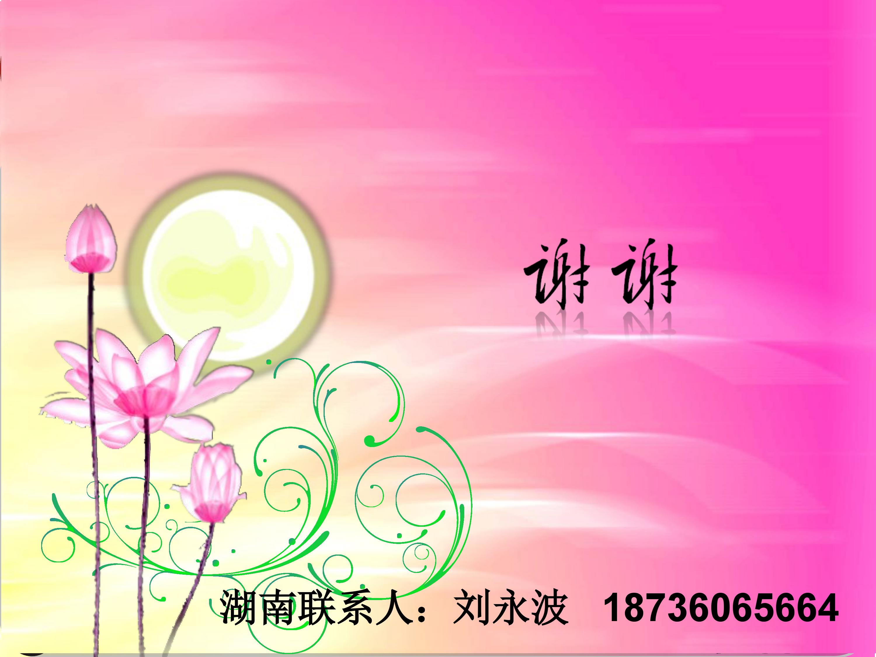 image-0185