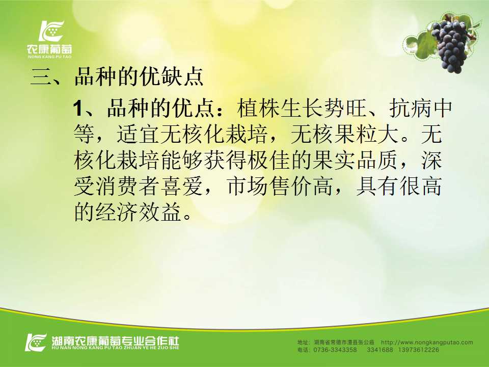 幻灯片6