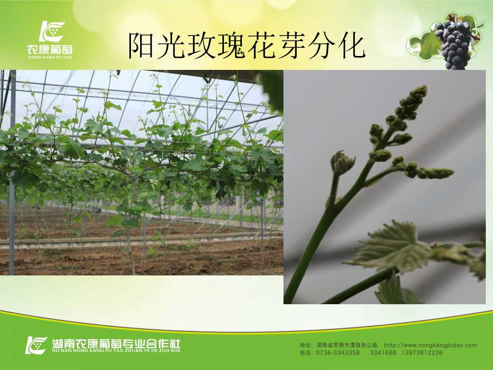 幻灯片7