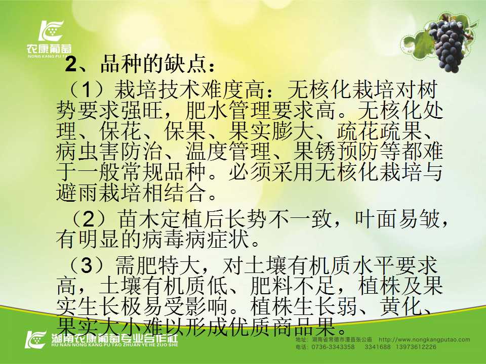幻灯片8