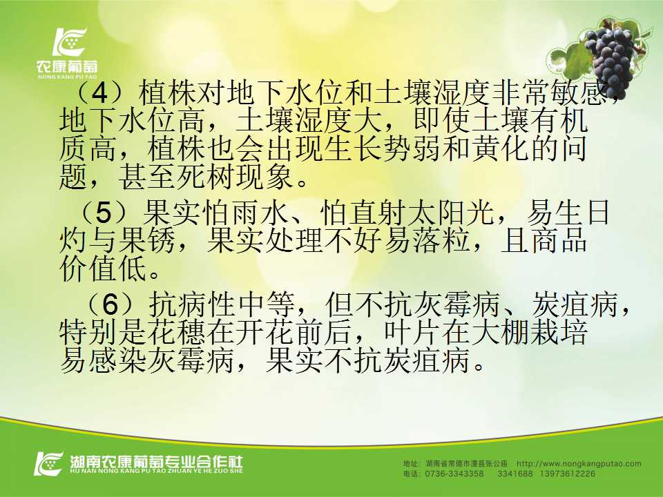 幻灯片10