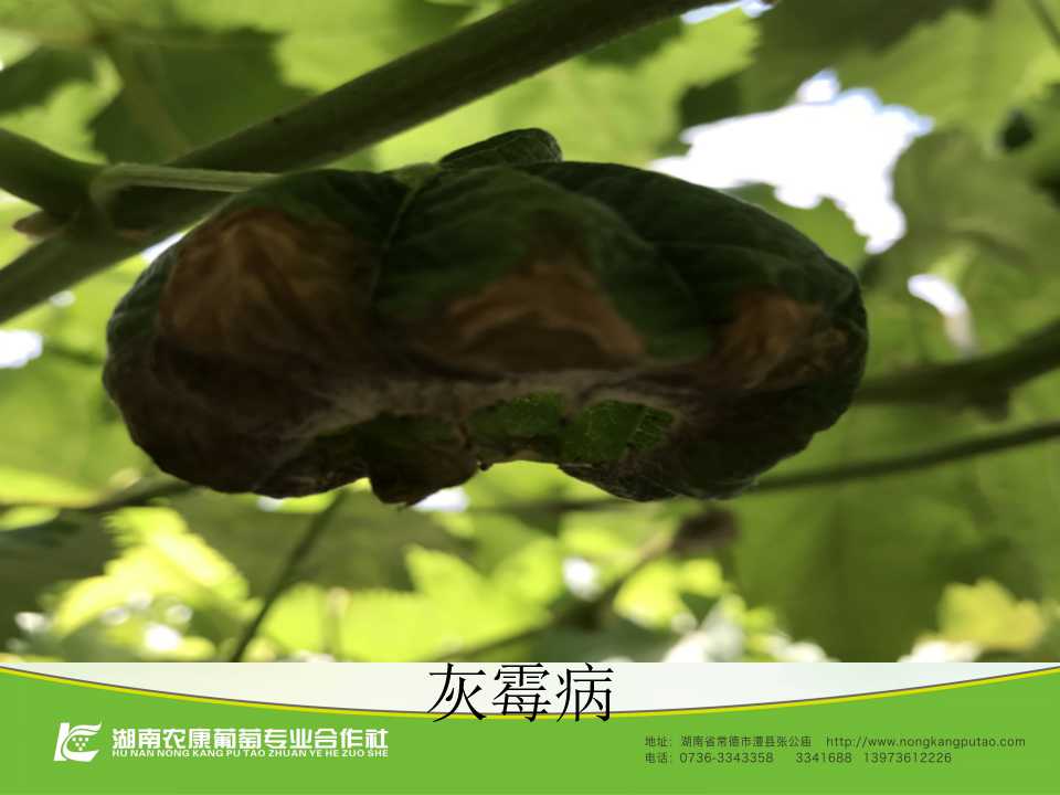 幻灯片12