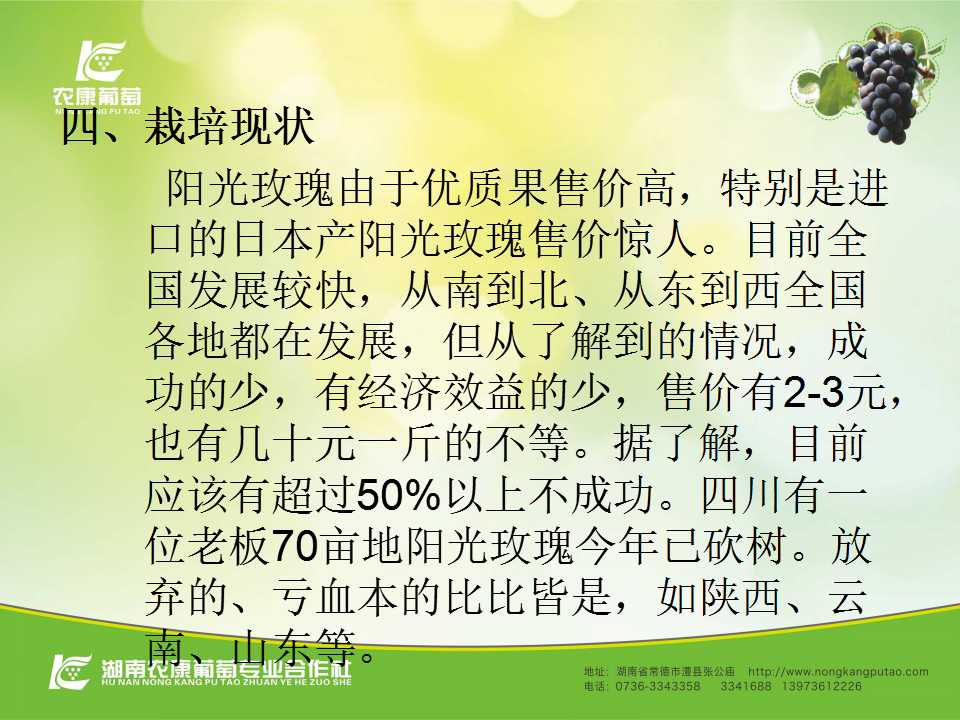 幻灯片13