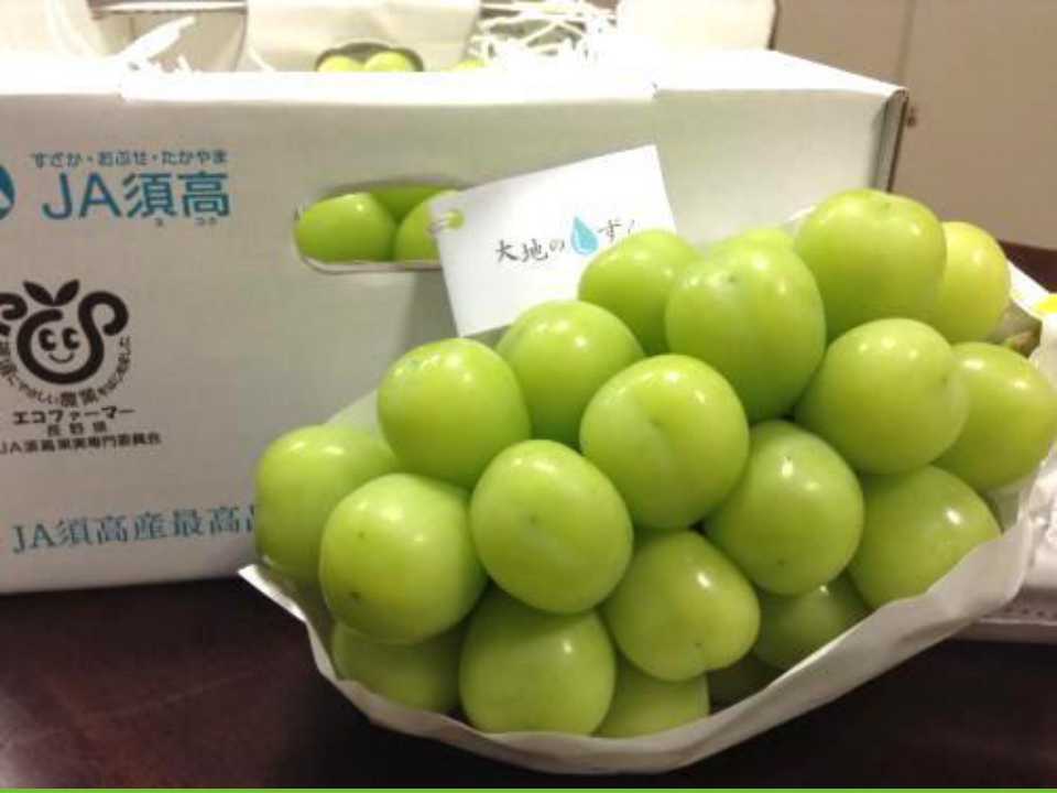 幻灯片14