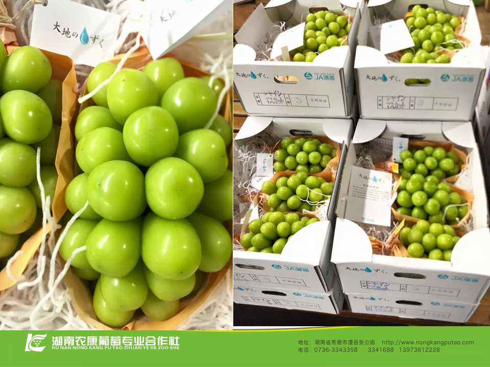 幻灯片17