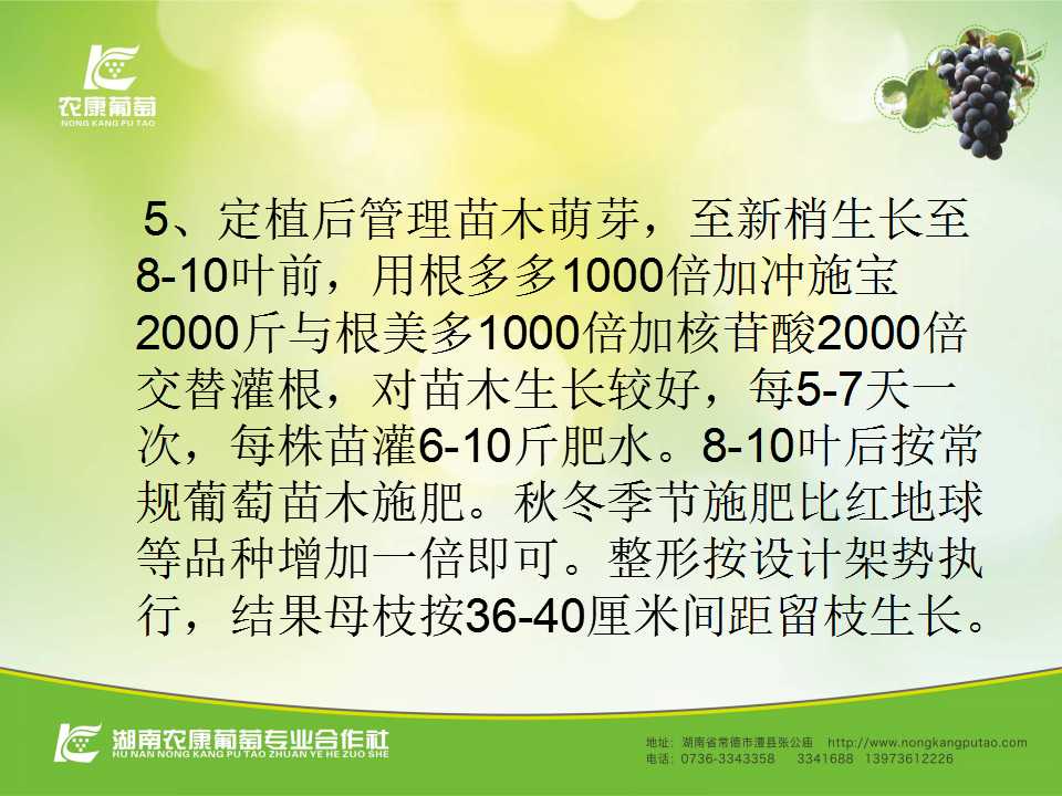 幻灯片21