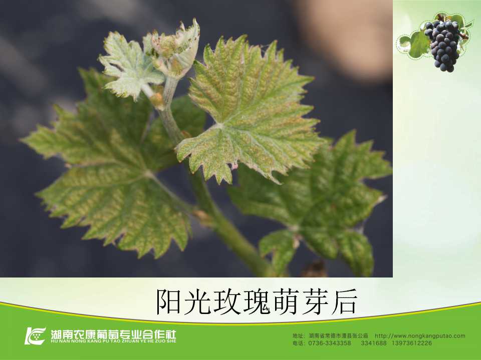 幻灯片22