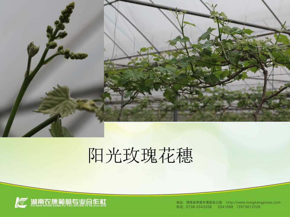 幻灯片23