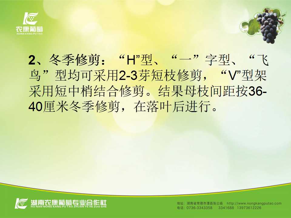 幻灯片26
