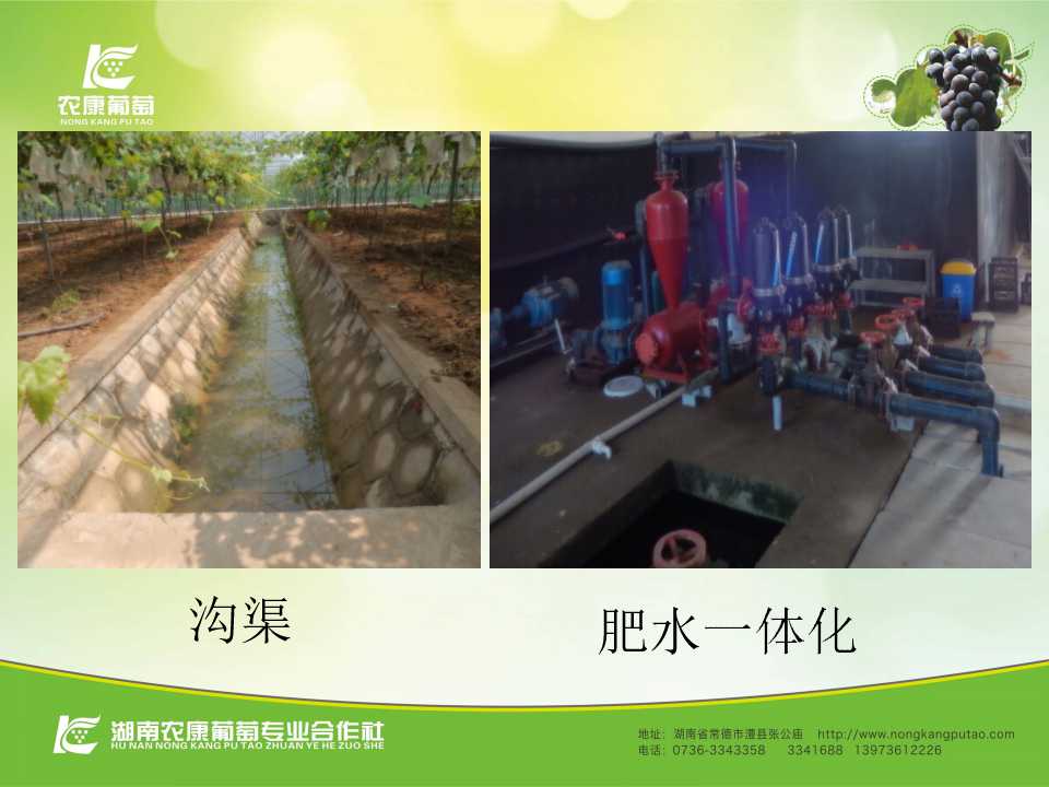 幻灯片29