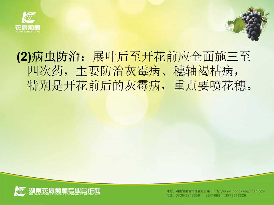 幻灯片32