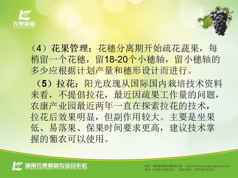 幻灯片34
