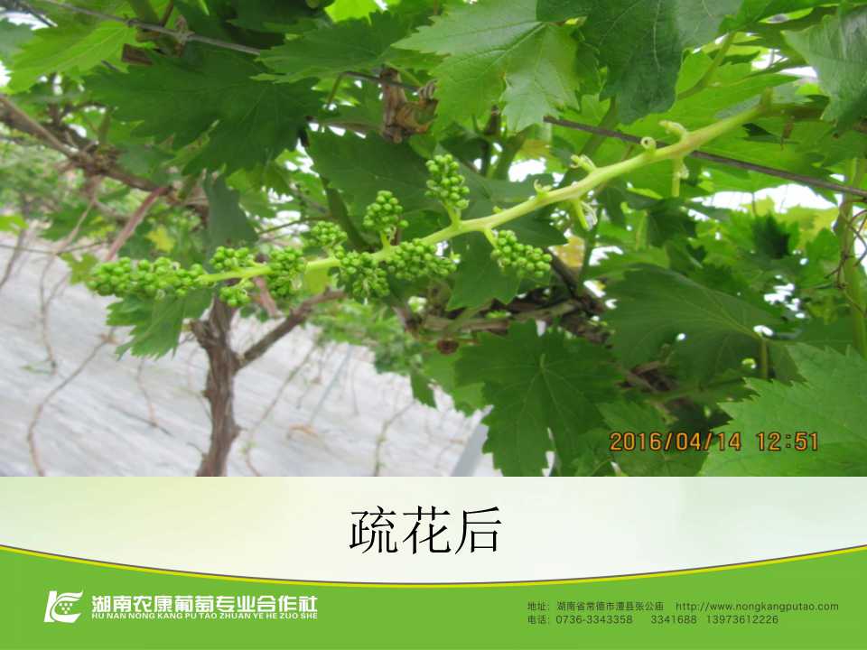 幻灯片36