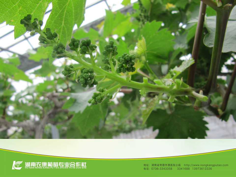 幻灯片37