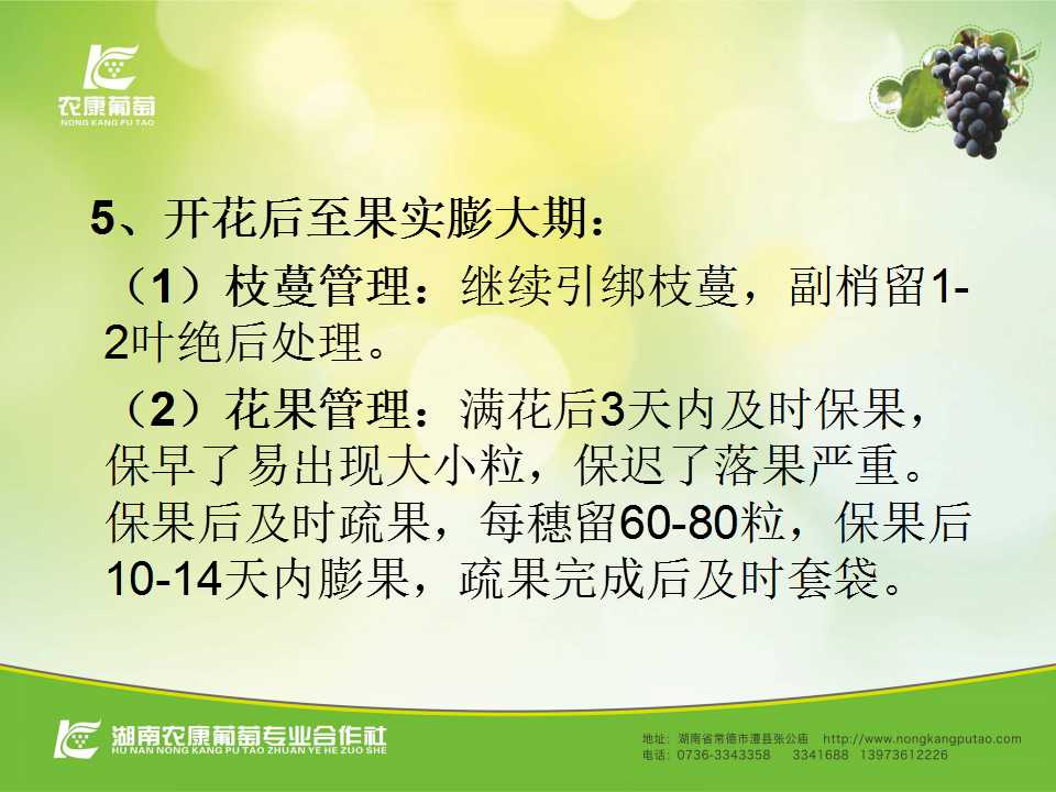 幻灯片38