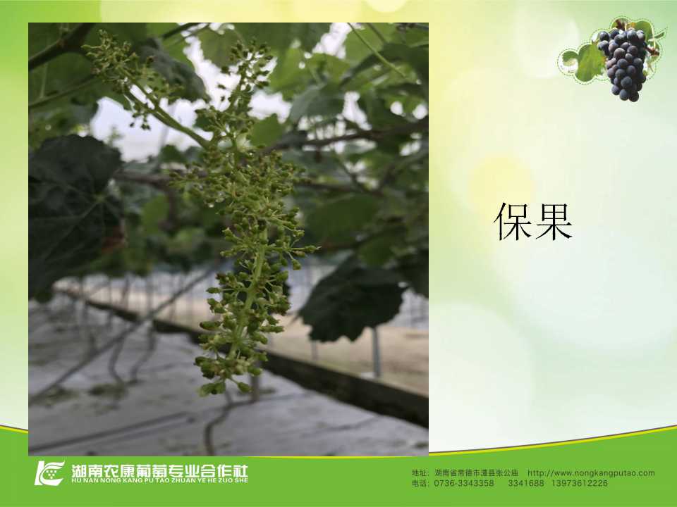 幻灯片39