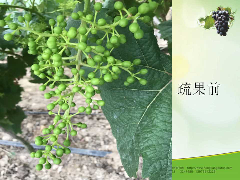 幻灯片41