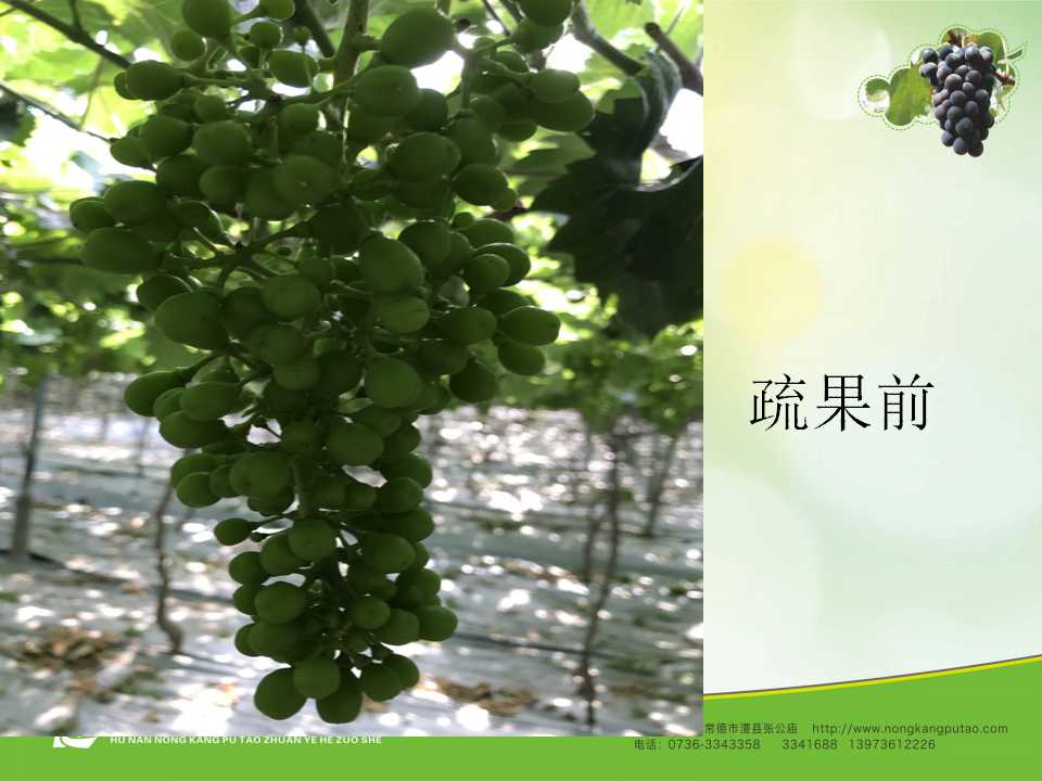 幻灯片42