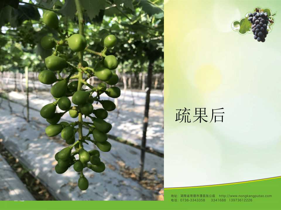 幻灯片43