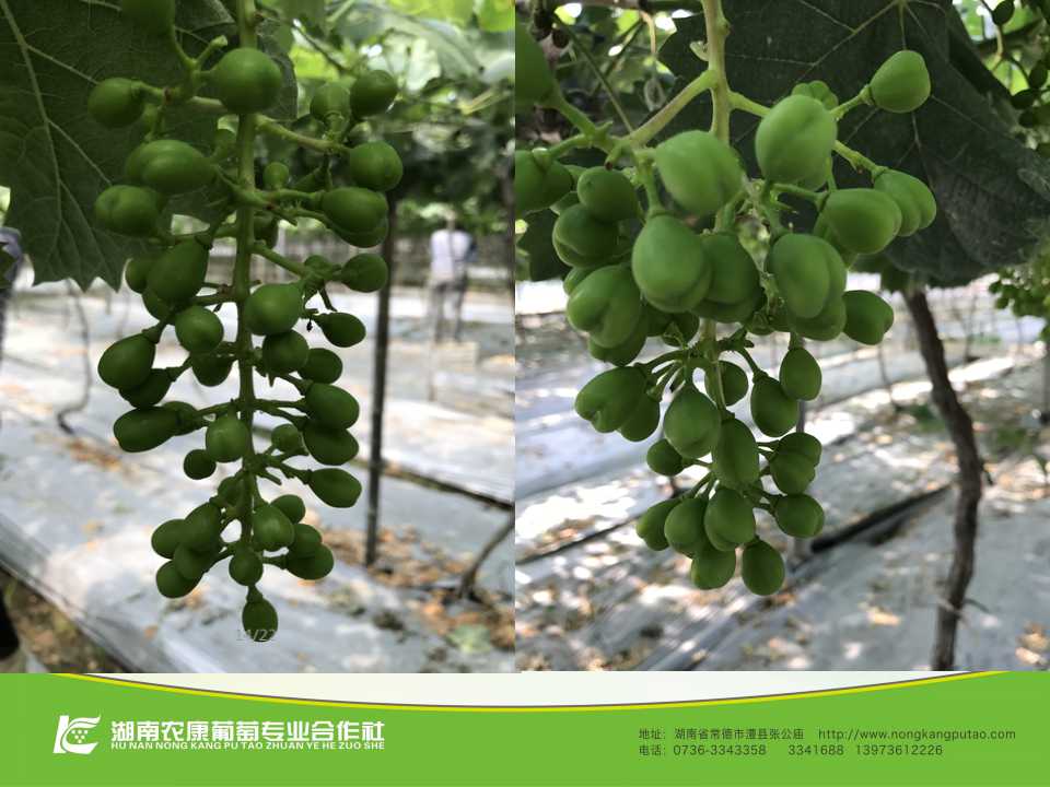 幻灯片44