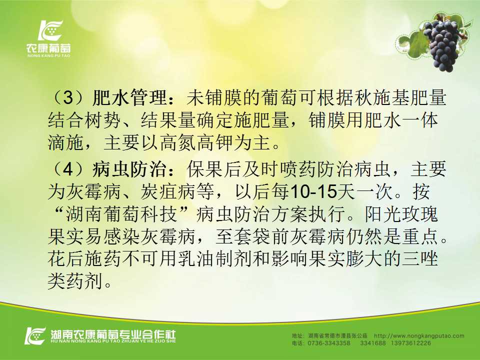 幻灯片46