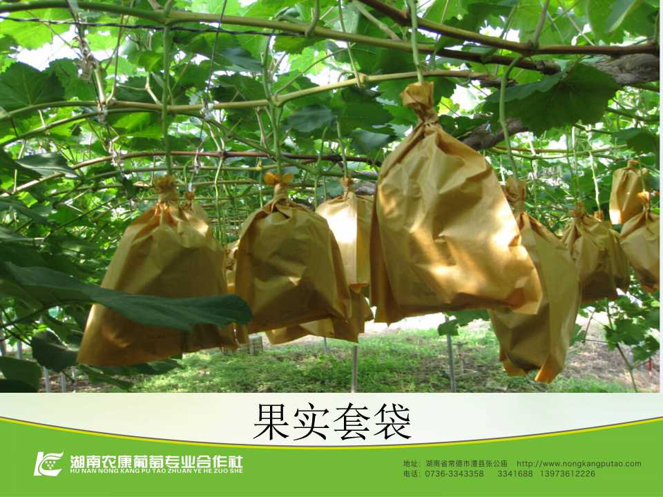 幻灯片48