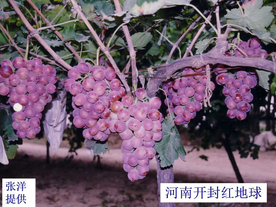 幻灯片8