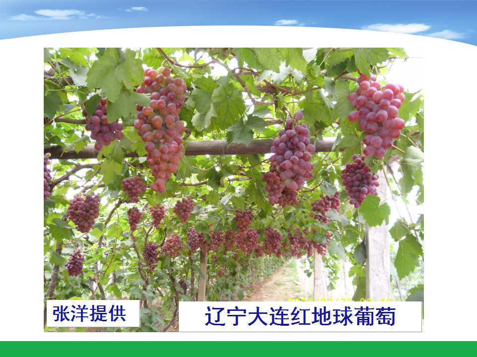 幻灯片11