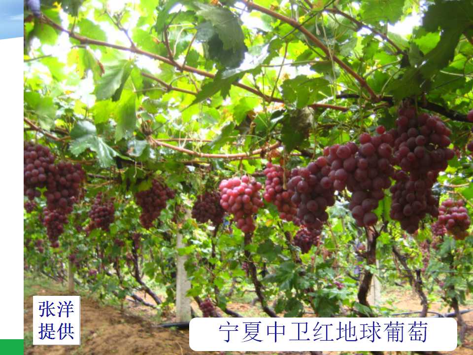 幻灯片12