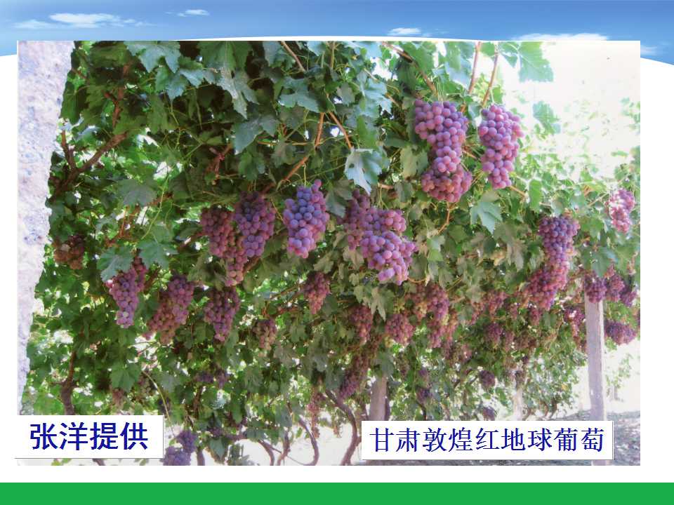 幻灯片13