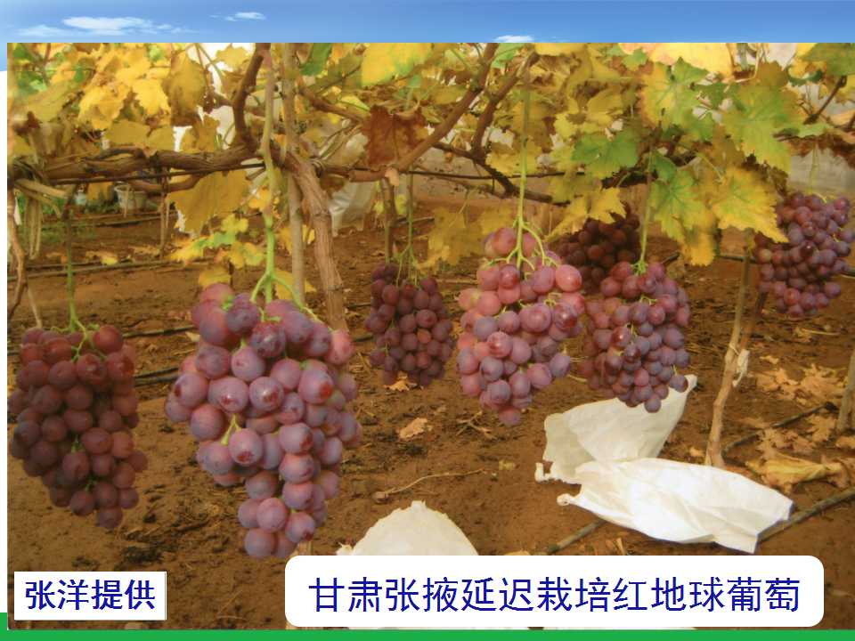 幻灯片14