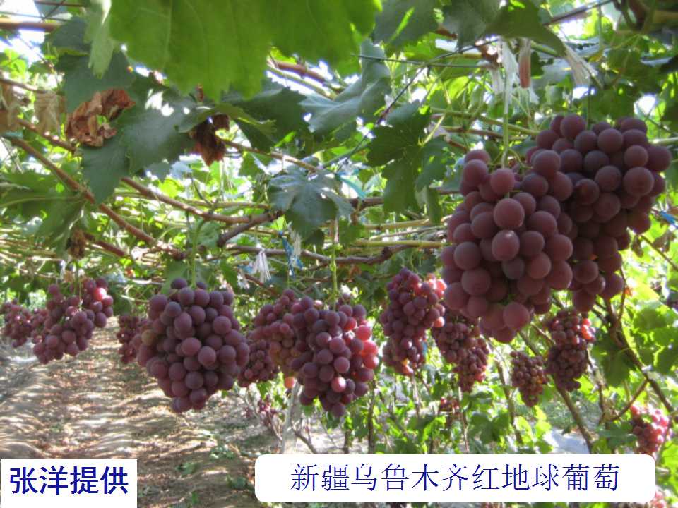 幻灯片15