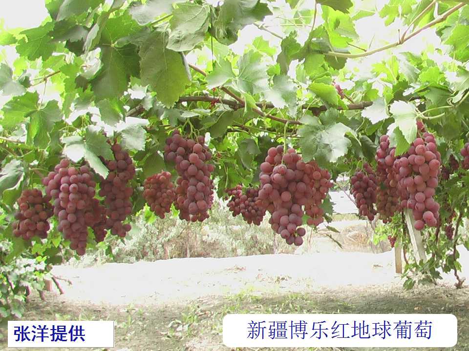 幻灯片16