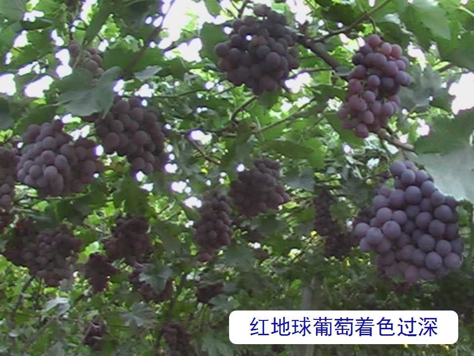 幻灯片17