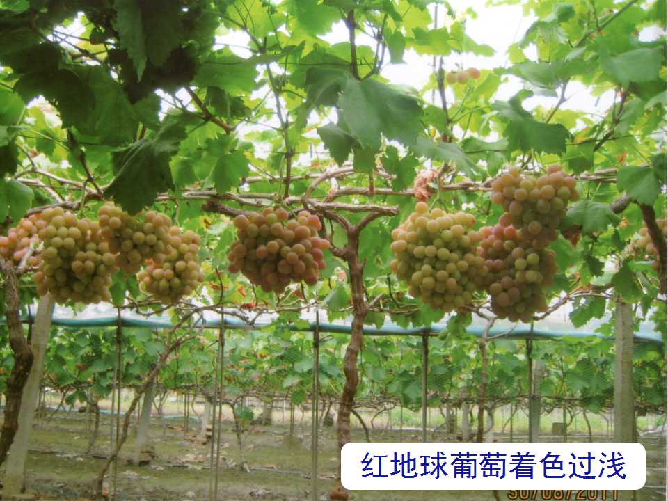 幻灯片18
