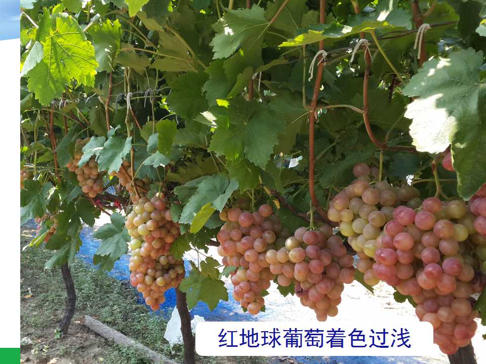 幻灯片19