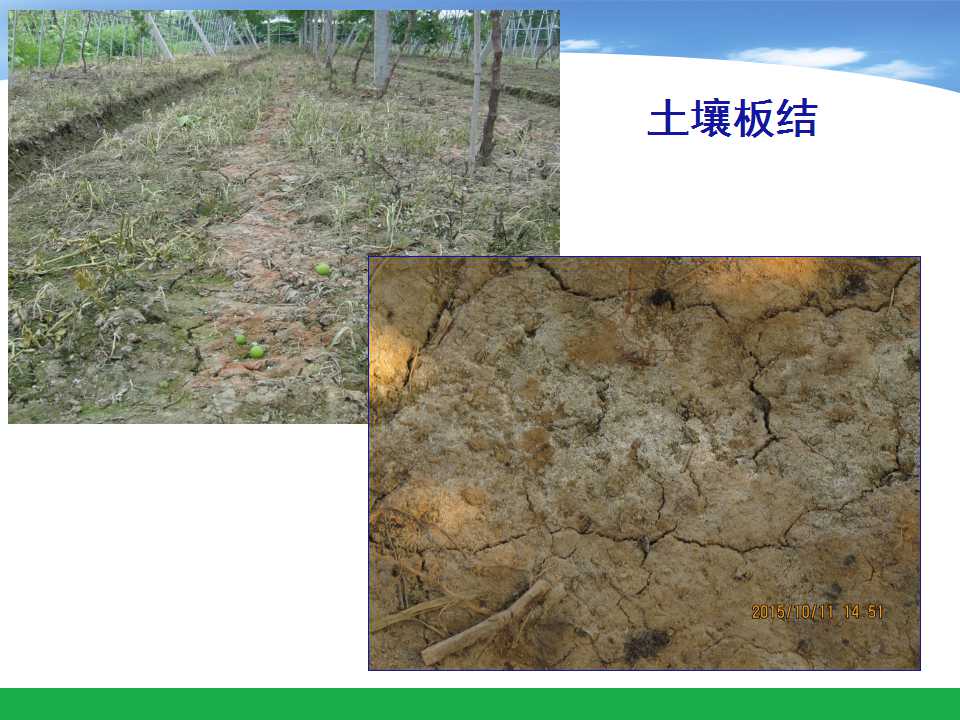 幻灯片22